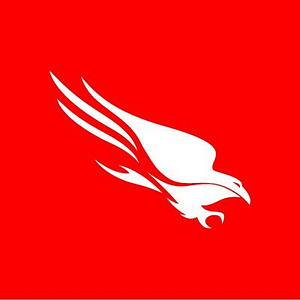Falcon Spotlight
