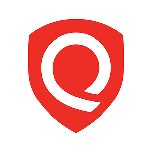Qualys API Security Testing