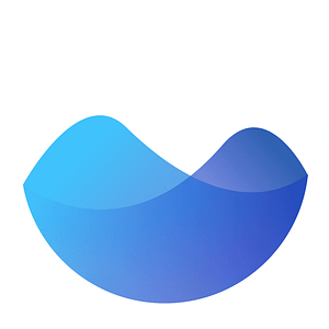 RagaAI
