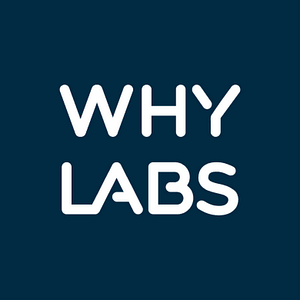WhyLabs AI Observatory