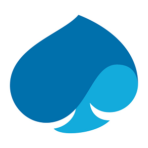 Capgemini France IAM